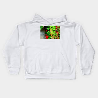 Virginia creeper with some fruits on the wall in autumn Kids Hoodie